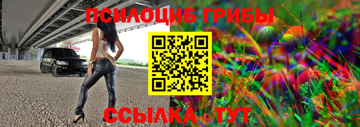 Псилоцибиновые грибы Psilocybine cubensis Невинномысск