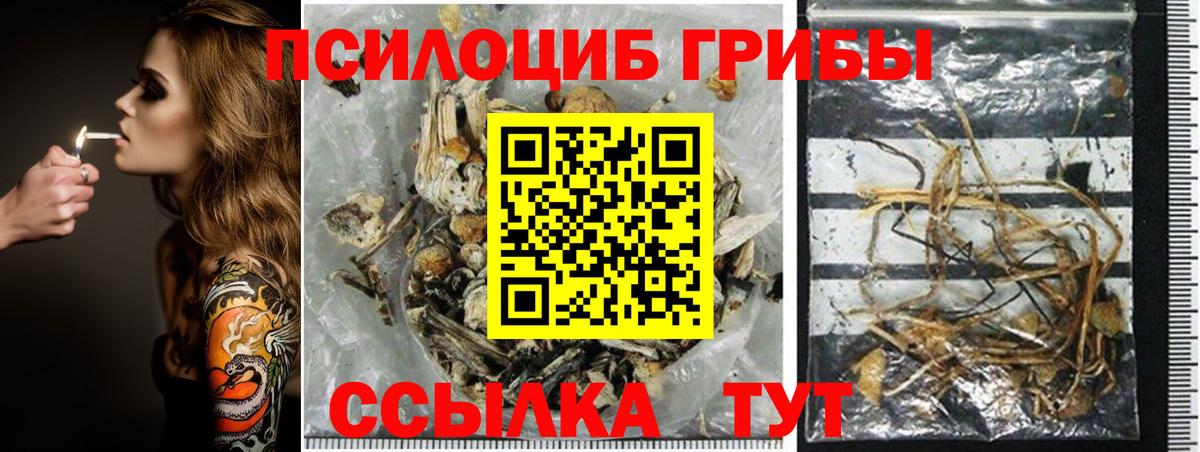 Псилоцибиновые грибы мухоморы Невинномысск