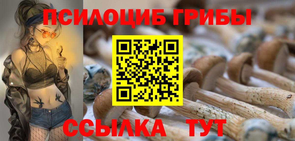 Псилоцибиновые грибы Cubensis  Галлюциногенные грибы прущие грибы  Вход с VPN  Невинномысск 
